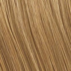 R16 Honey Blonde - Neutral, pale blonde
