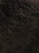 R4/6 | Dark Brown Blended With Chestnut Brown
