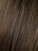 R829S | GLAZED HAZELNUT | Rich Medium with Ginger Highlights on Top