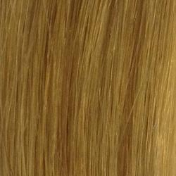 Golden Blonde 