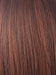 CHESTNUT | Dark and Bright Auburn Evenly Blended