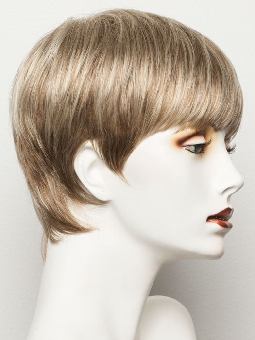 Color Dark-Champagne-Mix = Medium Ash Blonde, Lightest Brown, and Pale Blonde Blend