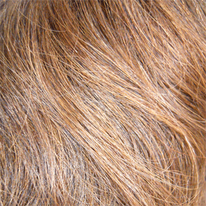 HL4/27 Med Dk Brown Highlighted with Strawberry Blonde