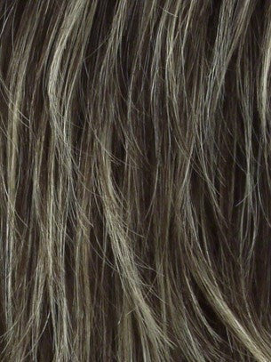 Color Sunny Blonde = Tipped Medium Ash Brown w/ Light Gold Blonde Highlights