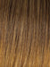 R1416T BUTTERED TOAST | Dark Ash Blonde with Golden Blonde Tips