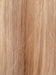 RH1488 | Dark Blonde w/Lightest Blonde Highlights