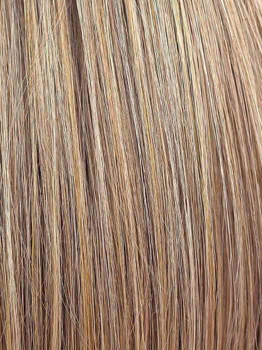 TOASTED SHINE | Dark Honey Blonde highlights on top and Light Ash Brown base at the nape