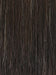 2/4R | Very Dark Brown with highlights