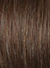 R10 CHESTNUT | Rich Medium Brown with subtle Golden Brown Highlights Throughout