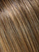 24B18S8 SHADED MOCHA | Medium Natural Ash Blonde and Light Natural Gold Blonde Blend, Shaded with Medium Brown