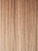 TP613/27 | Honey Blonde Highlight Streak with Platinum Blonde Tip