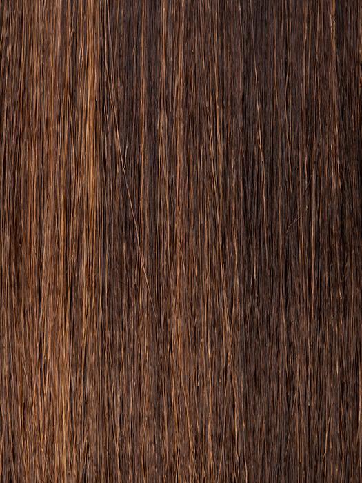 FS4/27 | 80% Medium Dark Brown with 20% Honey Blonde Frost