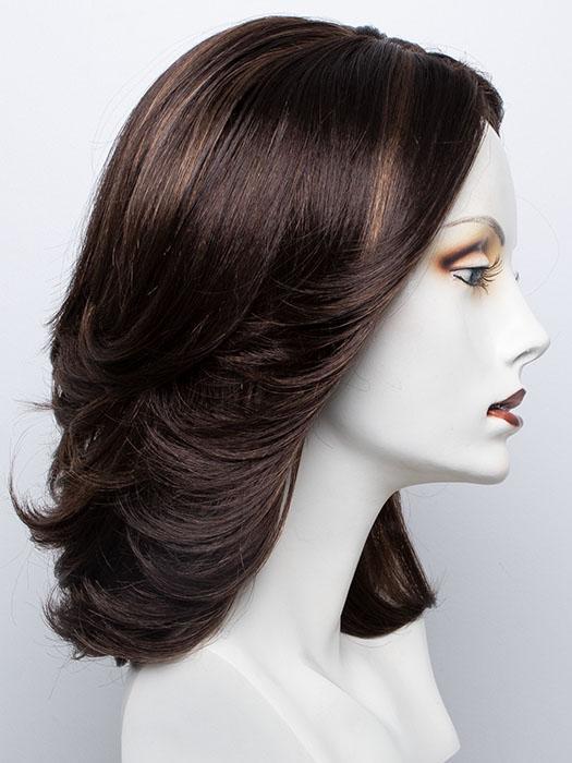 FS4/27 | 80% Medium Dark Brown with 20% Honey Blonde Frost