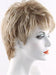 TP613/27 | Honey Blonde, Highlight Streak with Platinum Blonde Tip